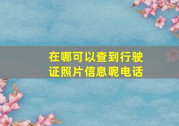 在哪可以查到行驶证照片信息呢电话