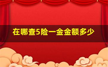 在哪查5险一金金额多少