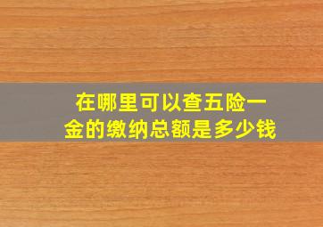 在哪里可以查五险一金的缴纳总额是多少钱