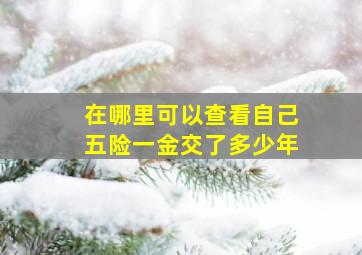 在哪里可以查看自己五险一金交了多少年