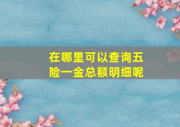 在哪里可以查询五险一金总额明细呢