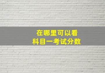 在哪里可以看科目一考试分数