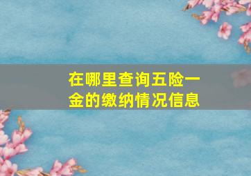 在哪里查询五险一金的缴纳情况信息