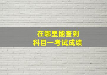 在哪里能查到科目一考试成绩