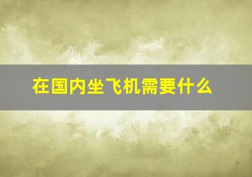 在国内坐飞机需要什么