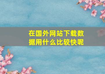 在国外网站下载数据用什么比较快呢