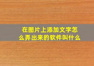 在图片上添加文字怎么弄出来的软件叫什么