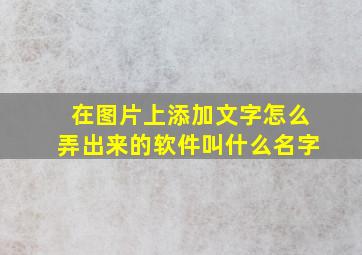 在图片上添加文字怎么弄出来的软件叫什么名字