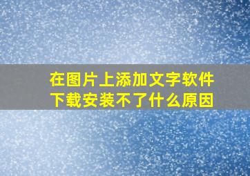 在图片上添加文字软件下载安装不了什么原因