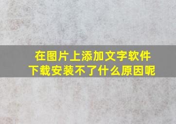 在图片上添加文字软件下载安装不了什么原因呢