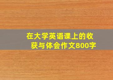 在大学英语课上的收获与体会作文800字