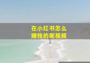 在小红书怎么赚钱的呢视频