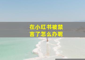 在小红书被禁言了怎么办呢