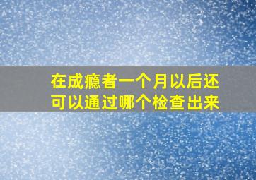 在成瘾者一个月以后还可以通过哪个检查出来