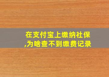 在支付宝上缴纳社保,为啥查不到缴费记录