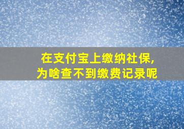 在支付宝上缴纳社保,为啥查不到缴费记录呢