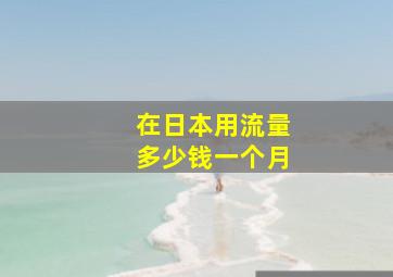 在日本用流量多少钱一个月