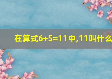 在算式6+5=11中,11叫什么