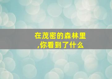 在茂密的森林里,你看到了什么