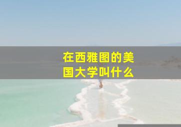 在西雅图的美国大学叫什么