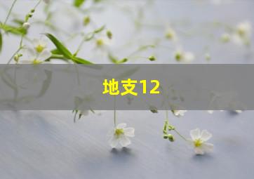 地支12