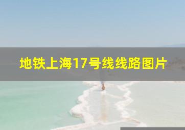 地铁上海17号线线路图片