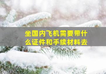 坐国内飞机需要带什么证件和手续材料去