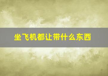 坐飞机都让带什么东西