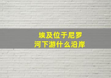 埃及位于尼罗河下游什么沿岸