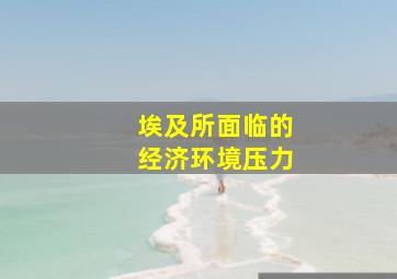 埃及所面临的经济环境压力