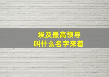 埃及最高领导叫什么名字来着