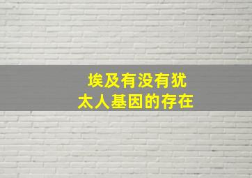 埃及有没有犹太人基因的存在