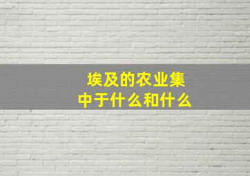 埃及的农业集中于什么和什么