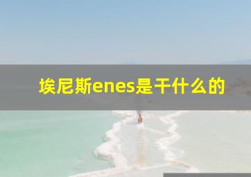 埃尼斯enes是干什么的