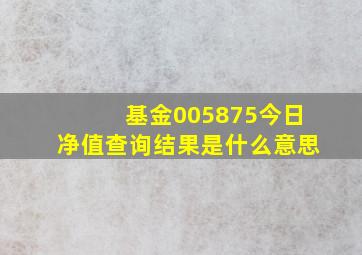 基金005875今日净值查询结果是什么意思