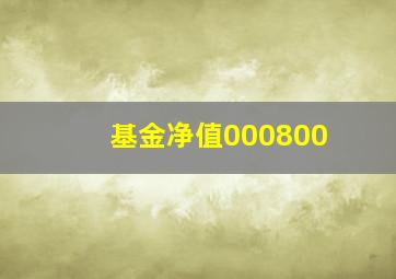 基金净值000800