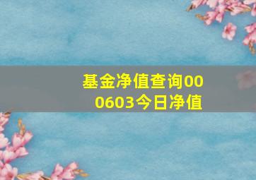 基金净值查询000603今日净值