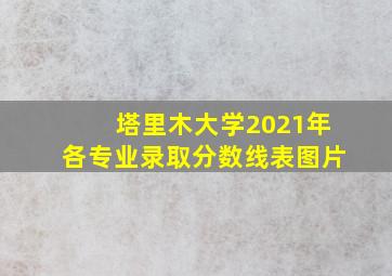 塔里木大学2021年各专业录取分数线表图片