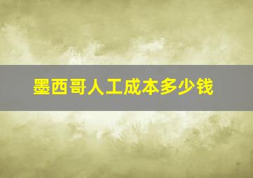 墨西哥人工成本多少钱