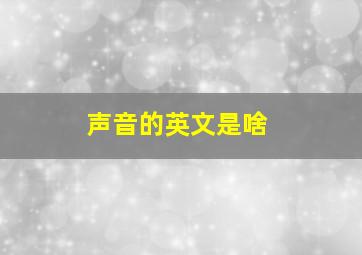 声音的英文是啥