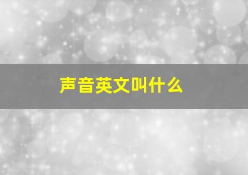 声音英文叫什么