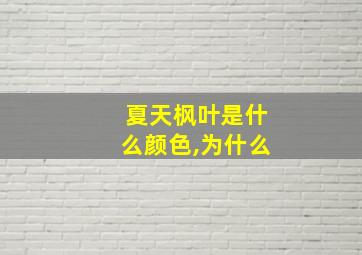 夏天枫叶是什么颜色,为什么