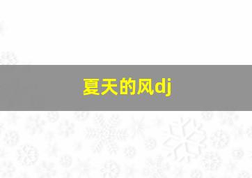 夏天的风dj