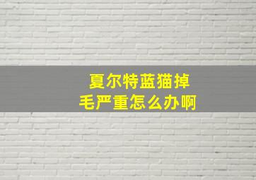 夏尔特蓝猫掉毛严重怎么办啊