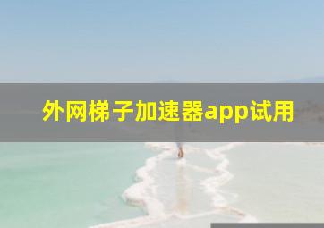 外网梯子加速器app试用