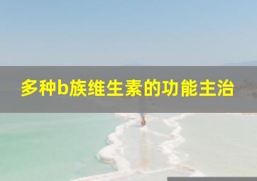 多种b族维生素的功能主治