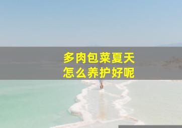 多肉包菜夏天怎么养护好呢