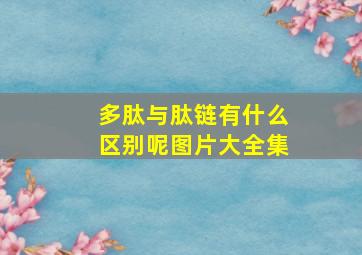 多肽与肽链有什么区别呢图片大全集