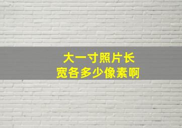 大一寸照片长宽各多少像素啊