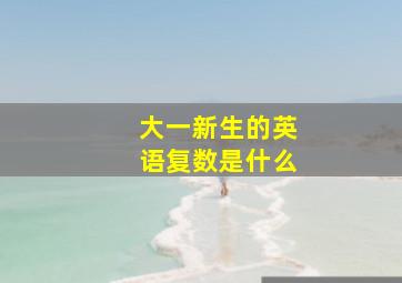 大一新生的英语复数是什么